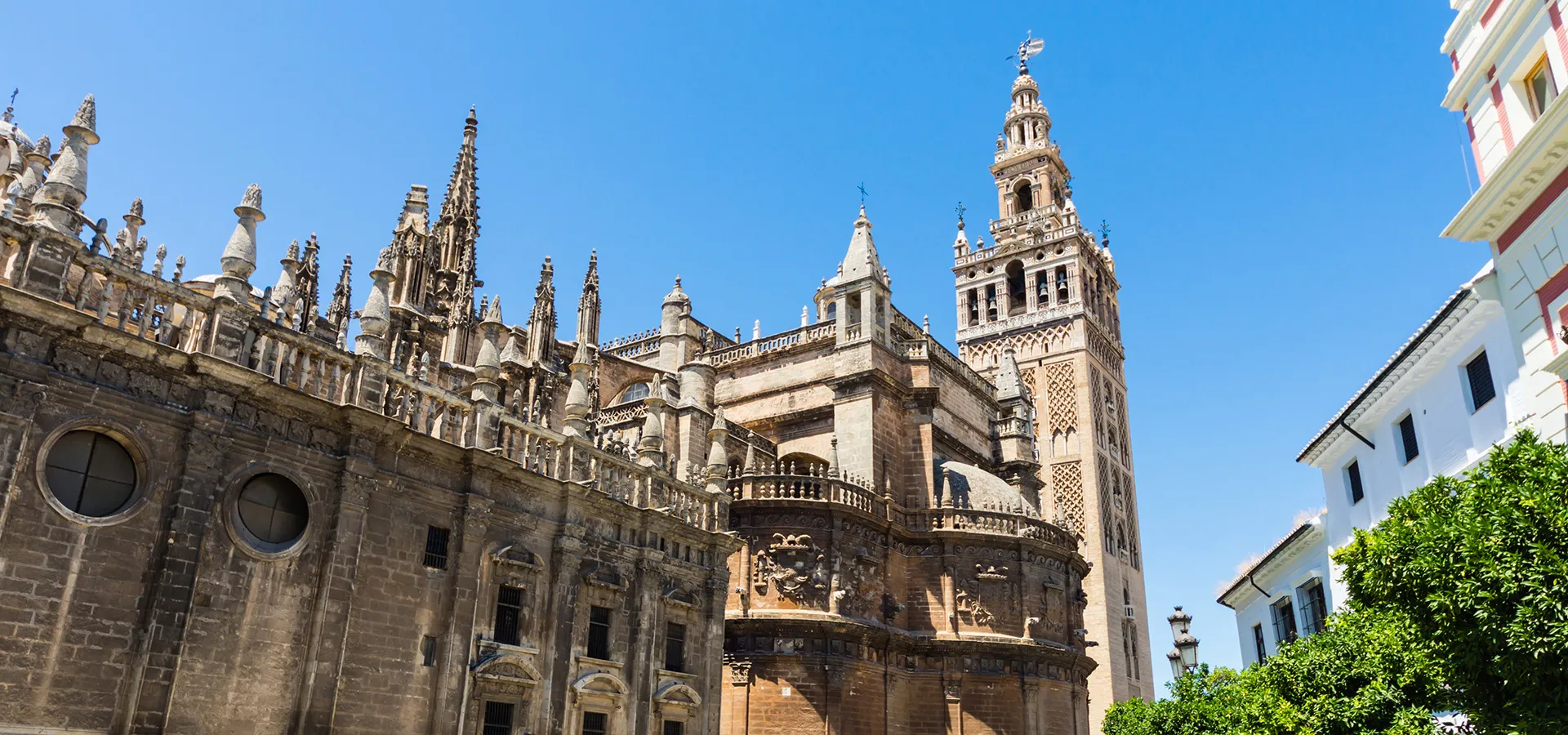 Découvrez des curiosités sur la cathédrale de Séville